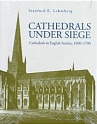 Cathedrals Under Siege (Library Binding)