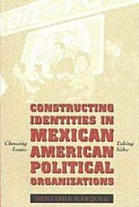 Constructing Identities in Mexican-American Political Organizations: Choosing Issues, Taking Sides (Paperback)