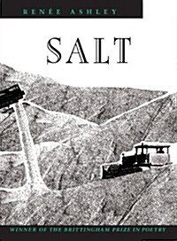 Salt, 1991 (Paperback)