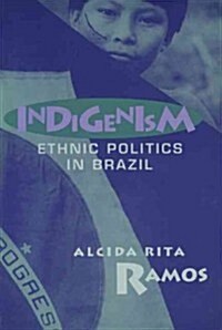 Indigenism: Ethnic Politics in Brazil (Hardcover)