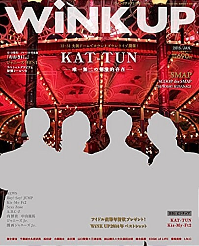 Wink up (ウィンク アップ) 2015年 01月號 [雜誌] (月刊, 雜誌)