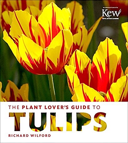 The Plant Lovers Guide to Tulips (Hardcover)