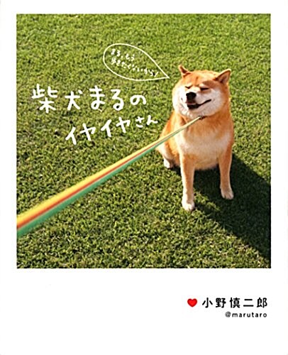 柴犬まるのイヤイヤさん (單行本)