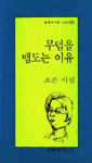 무덤을 맴도는 이유 : 조은 시집