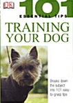 Training Your Dog