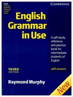 [중고] English Grammar in Use (Paperback, 3rd)