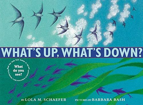 Whats Up, Whats Down? (Hardcover)