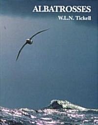 Albatrosses (Hardcover)