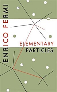 Elementary Particles (Paperback)