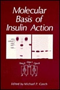 Molecular Basis of Insulin Action (Hardcover, 1985)