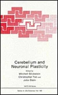 Cerebellum and Neuronal Plasticity (Hardcover)