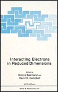 Interacting Electrons in Reduced Dimensions (Hardcover)