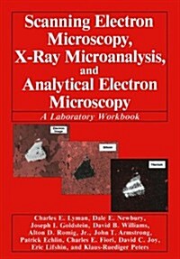 Scanning Electron Microscopy, X-Ray Microanalysis, and Analytical Electron Microscopy: A Laboratory Workbook (Hardcover, Softcover Repri)