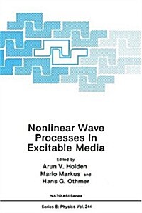 Nonlinear Wave Processes in Excitable Media (Hardcover, 1991)