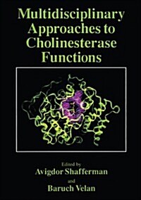 Multidisciplinary Approaches to Cholinesterase Functions (Hardcover)