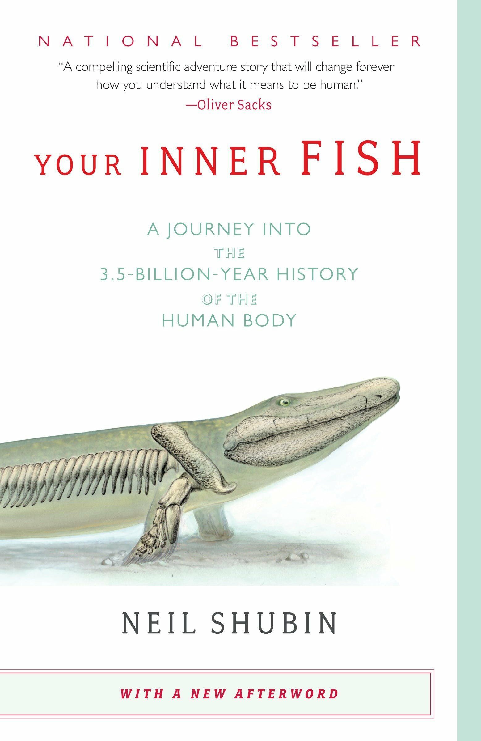 [중고] Your Inner Fish: A Journey Into the 3.5-Billion-Year History of the Human Body (Paperback)