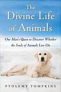 The Divine Life of Animals (Hardcover)