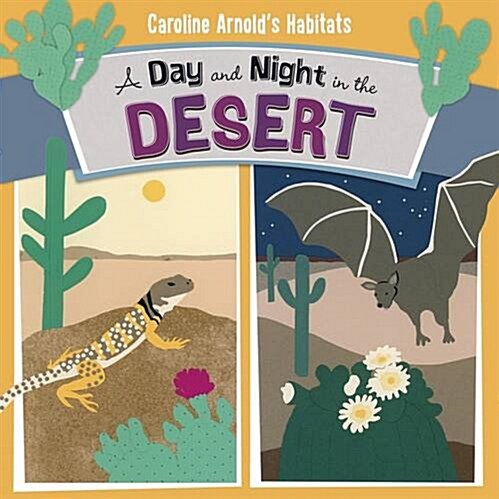 A Day and Night in the Sonoran Desert (Hardcover)