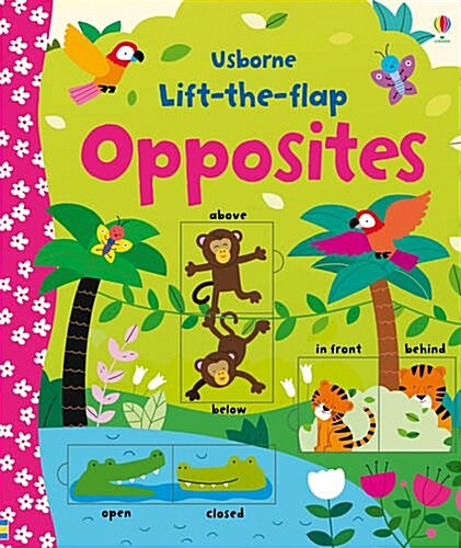 Lift-the-Flap Opposites (Board Book)