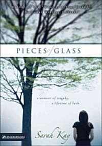 Pieces of Glass (Paperback)