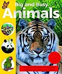 Big and Busy Animals (Board Book, LTF)