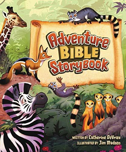 [중고] Adventure Bible Storybook (Hardcover)