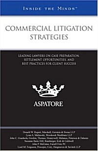 Commercial Litigation Strategies (Paperback)