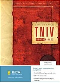 Zondervan TNIV Study Bible (Paperback, LEA)