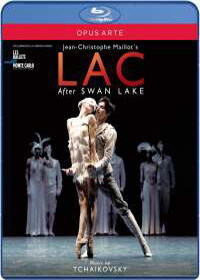 LAC: after swan lake