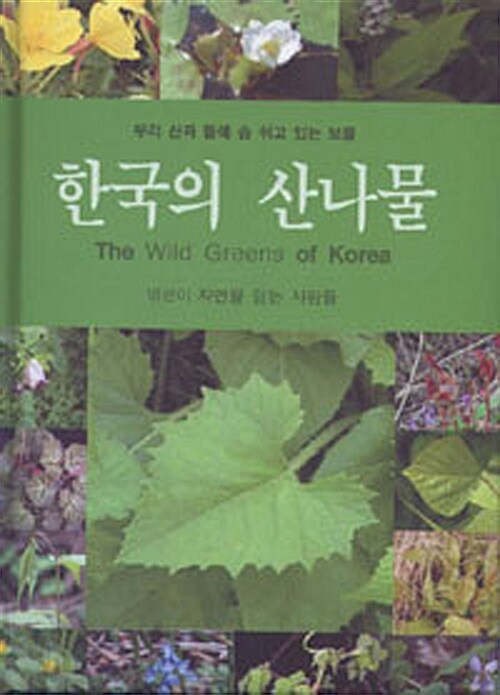 한국의 산나물 : 우리 산과 들에서 숨쉬고 있는 보물