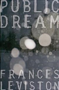 Public Dream (Paperback)