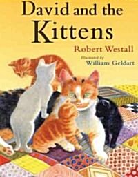 David and the Kittens (Paperback)