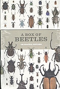 A Box of Beetles : 100 Beautiful Postcards (Postcard Book/Pack)