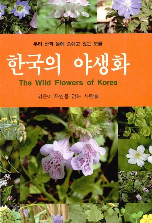 한국의 야생화 : 우리 산과 들에 숨쉬고 있는 보물 표지이미지