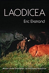 Laodicea (Paperback)