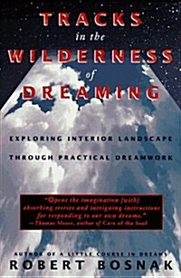 Tracks in the Wilderness of Dreaming (Paperback)