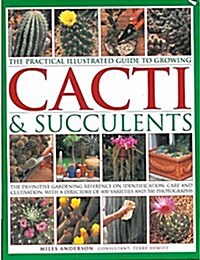 Practical Illustrated Guide to Growing Cacti & Succulents (Hardcover)