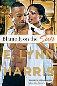 Blame it on the Sun (Hardcover)