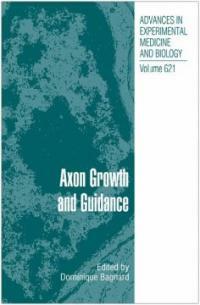 Axon growth and guidance