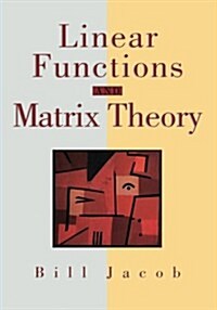 Linear Functions and Matrix Theory (Paperback, 1995)