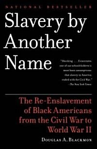 Slavery by Another Name: The Re-Enslavement of Black Americans from the Civil War to World War II (Paperback)