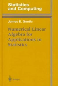 Numerical linear algebra for applications in statistics