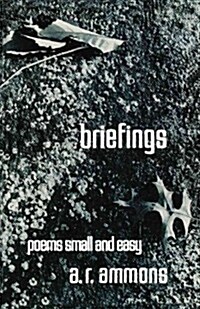 Briefings: Poems Small and Easy (Paperback)