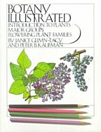 Botany Illustrated: Introduction to Plants, Major Groups, Flowering Plant Families (Paperback, Revised)