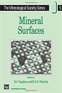 Mineral Surfaces (Paperback)