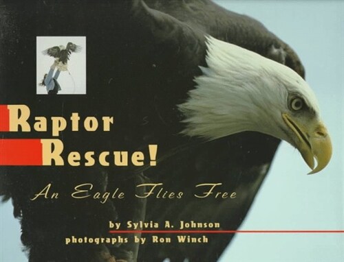 Raptor Rescue!: An Eagle Flies Free (Hardcover, 1st)