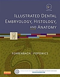 [중고] Illustrated Dental Embryology, Histology, and Anatomy (Paperback, 4 Revised edition)