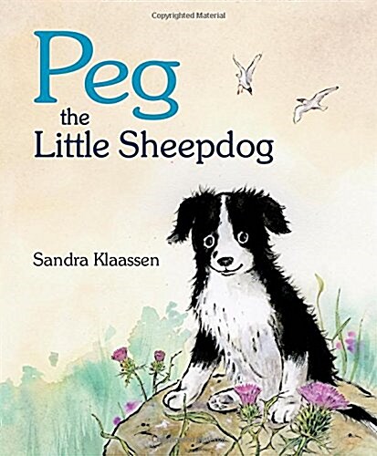 Peg the Little Sheepdog (Paperback)