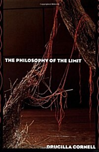 The Philosophy of the Limit (Paperback)