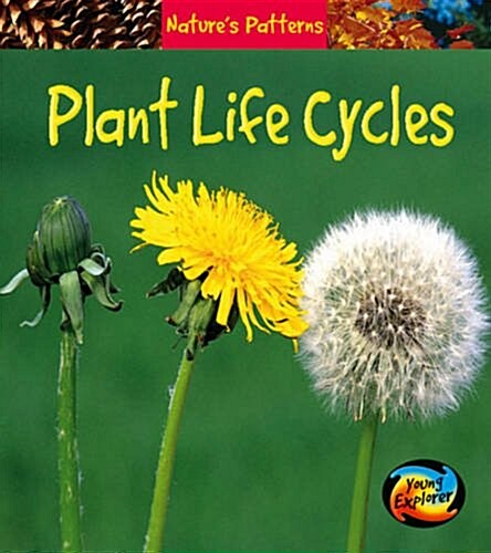 Plant Life Cycles (Paperback, Illustrated)